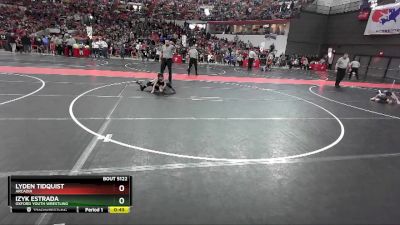 48 lbs Champ. Round 2 - Lyden Tidquist, Arcadia vs Izyk Estrada, Oxford Youth Wrestling