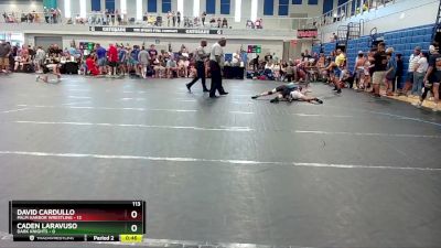 113 lbs Round 3 (4 Team) - David Cardullo, Palm Harbor Wrestling vs Caden Laravuso, Dark Knights