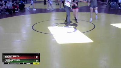 165 lbs Round 4 (8 Team) - Morgan Tingey, Millard vs Vincent Fertig, Bear River