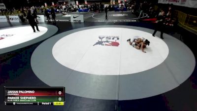 119 lbs Quarterfinal - Javian Palomino, California vs Parker Shepherd, Elite Force Wrestling Club