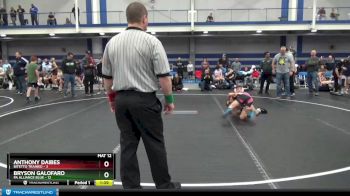 88 lbs Round 4 (8 Team) - Bryson Galofaro, PA Alliance Blue vs Anthony Daibes, Bitetto Trained