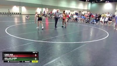 126 lbs Round 2 (16 Team) - Kellan Hurd, SD Renegades vs Cree Soe, Nebraska Broskis