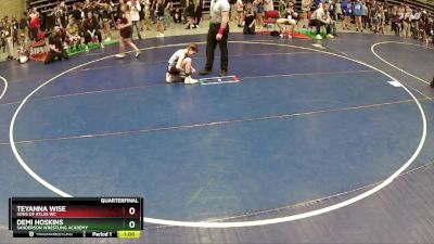 75 lbs Quarterfinal - Demi Hoskins, Sanderson Wrestling Academy vs Teyanna Wise, Sons Of Atlas WC