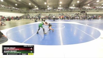 65 lbs Cons. Round 2 - Bowen Brandt, Smithville Youth Wrestling-AA  vs Brynn Weldy, Wildcat Takedown Club-AA 