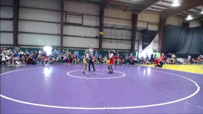 65 lbs Semifinal - Ava Westenbarger, Blackman Wrestling Club vs Freyda Nelson, MNStorm