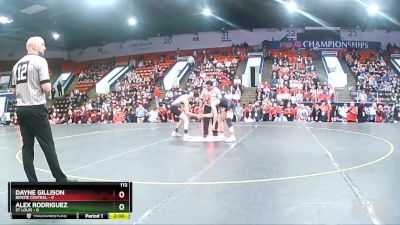 113 lbs Semifinals (8 Team) - Dayne Gillison, Benzie Central vs Alex Rodriguez, St Louis