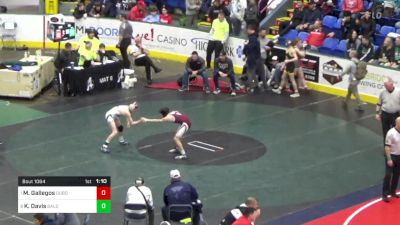 103 lbs Quarterfinal - Mateo Gallegos, Dubois vs Kael Davis, Bald Eagle Area