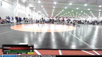 123 lbs Semifinal - Estefany Garcia, Life University vs Taryn Johnson, Missouri Baptist