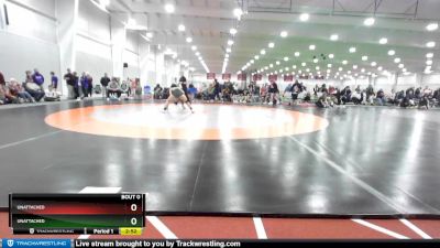 123 lbs Semifinal - Estefany Garcia, Life University vs Taryn Johnson, Missouri Baptist