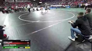 D2-138 lbs Champ. Round 1 - Tanner Paulson, Belmont/Platteville vs Ayden Hart, Winneconne