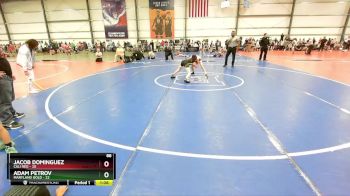 88 lbs Rd# 4- 2:00pm Friday Final Pool - Jacob Dominguez, Cali Red vs Adam Petrov, Maryland GOLD