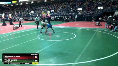 138 lbs Semifinal - Antwain Adams, WKA2 vs Tyler Ulmer, Unattached