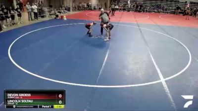 95 lbs Quarterfinals (8 Team) - Devon Groess, Albert Lea vs Lincoln Soltau, GMLOS