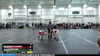 76 lbs Finals (2 Team) - Mason Keesecker, Dog Pound vs Salvatore Colangelo, All American
