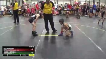 60 lbs Round 4 (6 Team) - Liam Brent, Untouchables Purple vs Nico Distasio, Stallers Elite