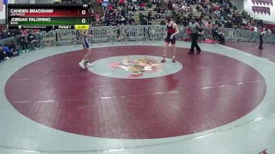 138 lbs Quarterfinal - Camden Bradshaw, Las Vegas vs Jordan Palomino, Basic
