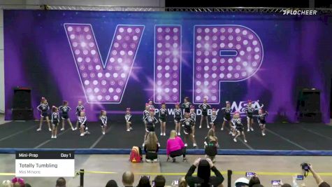 Totally Tumbling - Mini Minions [2022 L1.1 Mini-Prep Day 1] 2022 VIP Shreveport