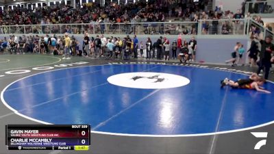 67 lbs Round 2 - Charlie McCambly, Dillingham Wolverine Wrestling Club vs Gavin Mayer, Valdez Youth Wrestling Club Inc.