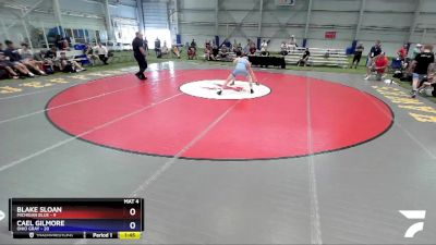 145 lbs Placement Matches (8 Team) - Blake Sloan, Michigan Blue vs Cael Gilmore, Ohio Gray