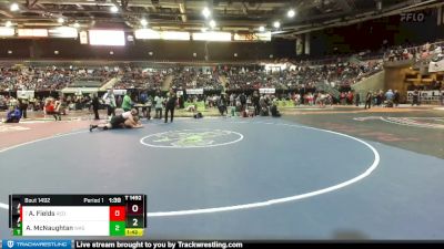 285 lbs Quarterfinal - Ashton Fields, Redmond vs Austin McNaughtan, Wasatch Utah