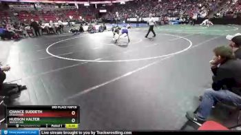 D1-120 lbs 3rd Place Match - Chance Suddeth, Stoughton vs Hudson Halter, Waterford