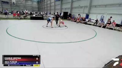 170 lbs Placement Matches (16 Team) - Charlie Herting, Team Colorado vs Nick Puskar, Pennsylvania Red