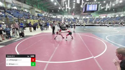 81 lbs Consi Of 4 - Jacob Littlepage, Bald Eagle Wrestling vs Caleb Wilson, Brighton Wrestling Club