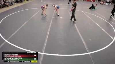 94 lbs Quarterfinal - Payten Sorbel, Flat Earth Wrestling Club vs Dominick Mariotti, MN Elite Wrestling Club