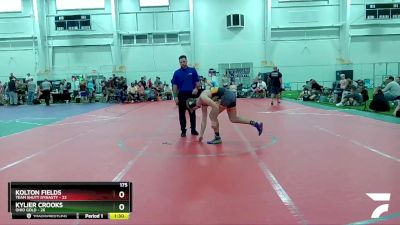 175 lbs Finals (2 Team) - Dallas Downs, Ohio Gold vs Brencyn Evans, Team Shutt Dynasty