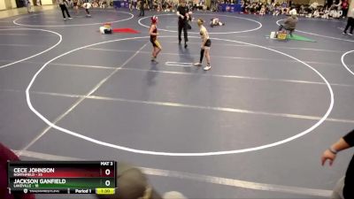 88 lbs Quarterfinals (8 Team) - Jackson Ganfield, Lakeville vs Cece Johnson, Northfield