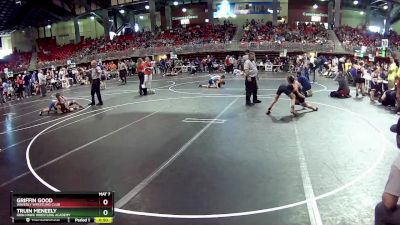 85 lbs Cons. Round 2 - Truin Meneely, Iron Hawk Wrestling Academy vs Griffin Good, Waverly Wrestling Club