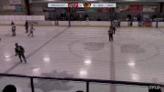 Replay: Home - 2024 Wild U18 AAA vs Thrashers U18 AAA | Mar 17 @ 1 PM