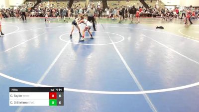 77 lbs Rr Rnd 1 - Carson Taylor, Toms River Wrestling Club vs Cal DiStefano, Shore Thing Surf