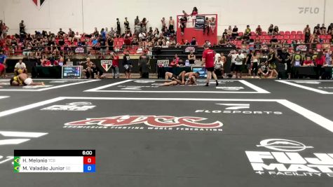 Henrique Melonio vs Marcelo Valadão Junior 2024 ADCC Sao Paulo Open