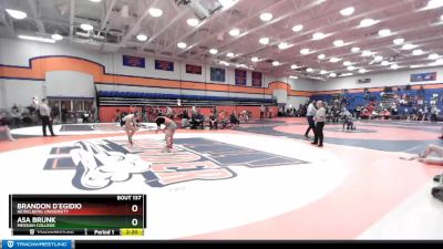 133 lbs Champ. Round 2 - Asa Brunk, Messiah College vs Brandon D`Egidio, Heidelberg University