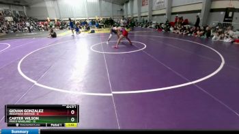 138 lbs Semis (4 Team) - Giovan Gonzalez, Midlothian Heritage vs Carter Wilson, Frisco Wakeland