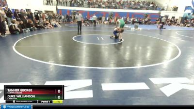 113 lbs Quarterfinal - Duke Williamson, Lakeland vs Tanner George, Coeur D Alene