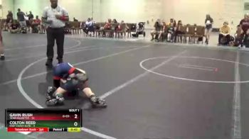 68 lbs Round 1 (4 Team) - Gavin Rush, Team Palmetto vs Colton Reed, East Coast Elite