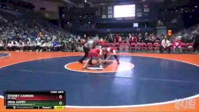 110 lbs Cons. Semi - Sydney Cannon, Mt. Zion vs Nina Hamm, Flossmoor (Homewood-F.)