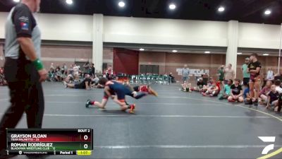 101 lbs Quarterfinals (8 Team) - Roman Rodríguez, Blackman Wrestling Club vs Grayson Sloan, Team Palmetto