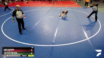 65 lbs Semis (4 Team) - Nathan Nelson, STMA (St. Michael/Albertville) vs Jett Foster, Pine Island