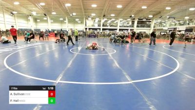 77 lbs Quarterfinal - Andrew Sullivan, Essex Junction VT vs Porter Hall, Massabesic