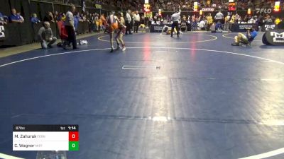 87 lbs Consy 3 - Mike Zahurak, Ferndale vs Coltyn Wagner, Mifflinburg