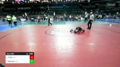 75 lbs Semifinal - Logan Tuck, Apex vs Thomas Narcisi, Seagull Wrestling Club