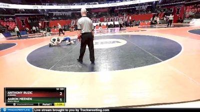 1A 120 lbs Quarterfinal - Anthony Ruzic, Auburn vs Aaron Meenen, Rock Falls