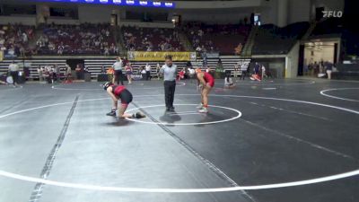 136 lbs Consi Of 16 #2 - Linh Ho, Northeastern (W) vs Natalie Porter, Georgia (W)