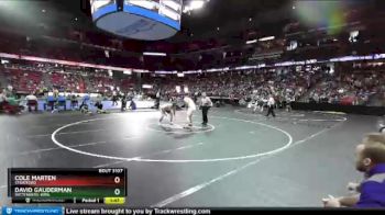 D3-220 lbs Quarterfinal - David Gauderman, Wittenberg-Birn. vs Cole Marten, Stratford