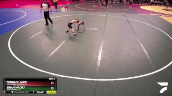 55 lbs Quarterfinals (8 Team) - Brian Maciej, Little Falls vs Brogan Lange, Caledonia/Houston
