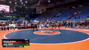 113 lbs Quarterfinals (8 Team) - Nore Turner, Lockport (Twp.) vs Michael Esteban, Chicago (Marist)
