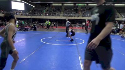 74 lbs Quarterfinal - David Hunanyan, Ashburn vs Abram Baer, Ellicott City